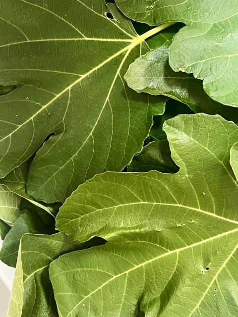 Restaurant Annecy centre-ville · Origines · Photos 